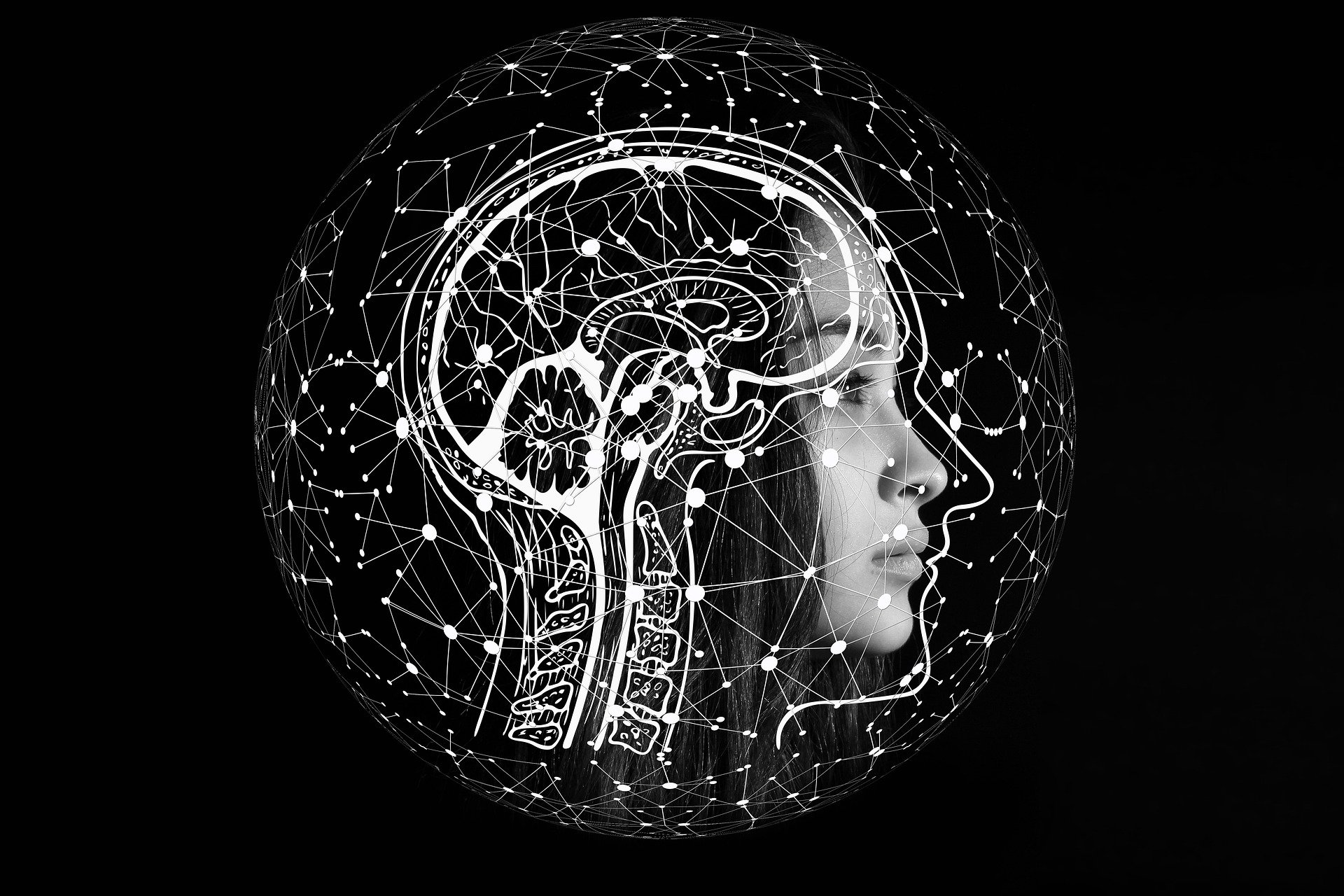 Une tête montrant le cerveau humain, lieu de notre intelligence émotionnelle
